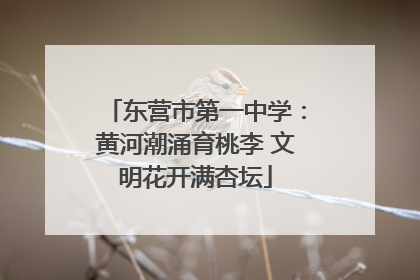 东营市第一中学：黄河潮涌育桃李 文明花开满杏坛