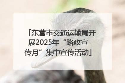 东营市交通运输局开展2025年“路政宣传月”集中宣传活动