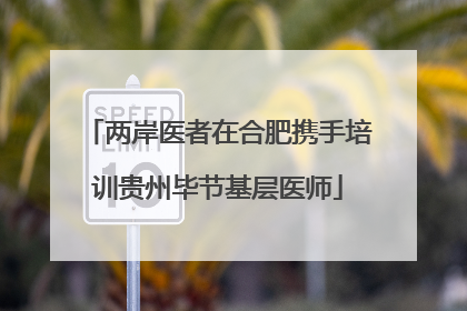 两岸医者在合肥携手培训贵州毕节基层医师