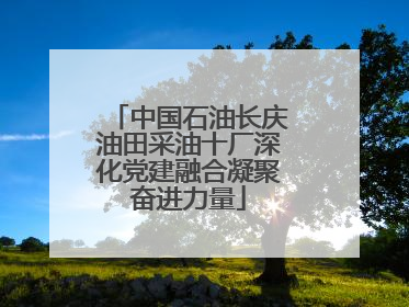 中国石油长庆油田采油十厂深化党建融合凝聚奋进力量