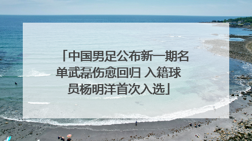 中国男足公布新一期名单武磊伤愈回归 入籍球员杨明洋首次入选