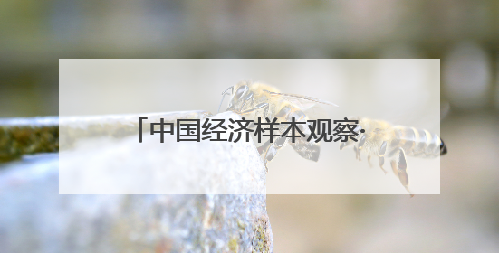 中国经济样本观察·一“业”成名丨面包“总动员”！“走”天下也“香”家乡