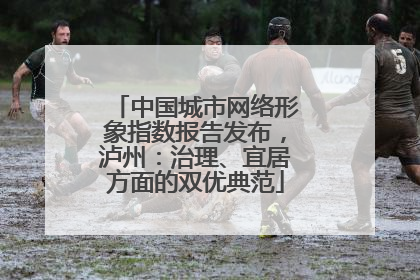 中国城市网络形象指数报告发布，泸州：治理、宜居方面的双优典范