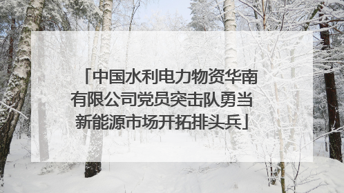中国水利电力物资华南有限公司党员突击队勇当新能源市场开拓排头兵