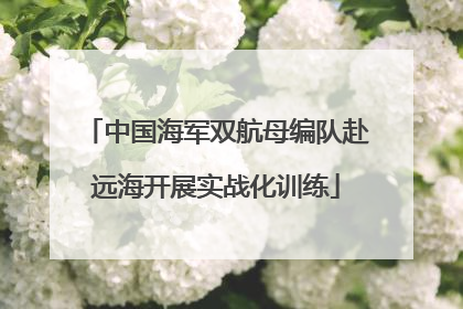 中国海军双航母编队赴远海开展实战化训练