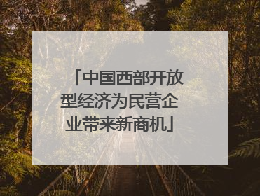 中国西部开放型经济为民营企业带来新商机