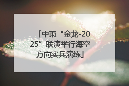中柬“金龙-2025”联演举行海空方向实兵演练