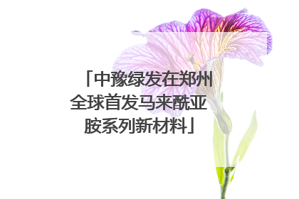 中豫绿发在郑州全球首发马来酰亚胺系列新材料