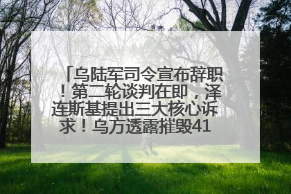 乌陆军司令宣布辞职！第二轮谈判在即，泽连斯基提出三大核心诉求！乌方透露摧毁41架俄战略轰炸机