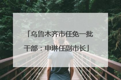 乌鲁木齐市任免一批干部：申琳任副市长
