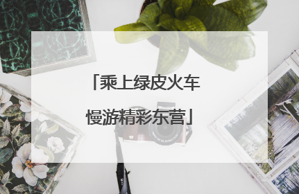 乘上绿皮火车 慢游精彩东营