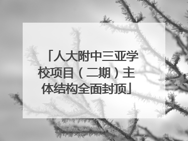 人大附中三亚学校项目（二期）主体结构全面封顶