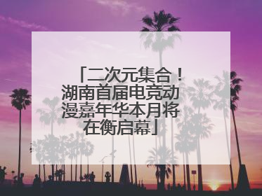 二次元集合！湖南首届电竞动漫嘉年华本月将在衡启幕