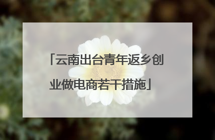 云南出台青年返乡创业做电商若干措施