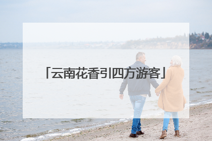 云南花香引四方游客