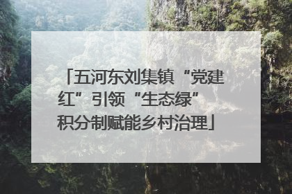 五河东刘集镇“党建红”引领“生态绿” 积分制赋能乡村治理