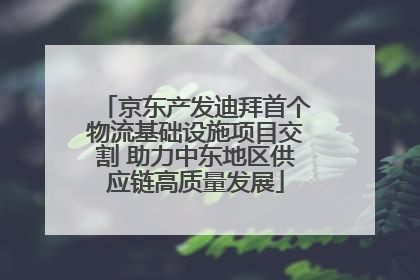京东产发迪拜首个物流基础设施项目交割 助力中东地区供应链高质量发展