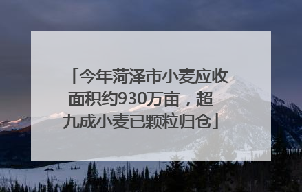 今年菏泽市小麦应收面积约930万亩，超九成小麦已颗粒归仓