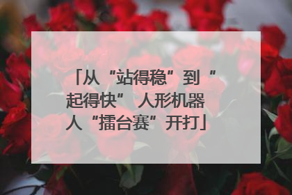 从“站得稳”到“起得快” 人形机器人“擂台赛”开打