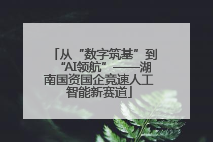 从“数字筑基”到“AI领航”——湖南国资国企竞速人工智能新赛道