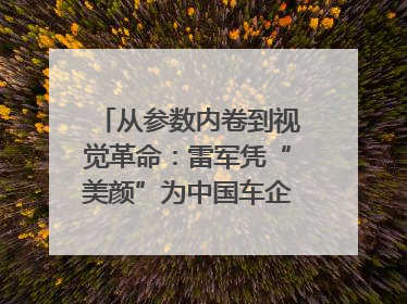 从参数内卷到视觉革命：雷军凭“美颜”为中国车企撕开设计新赛道｜封面车评