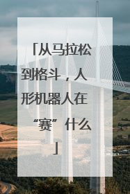从马拉松到格斗，人形机器人在“赛”什么