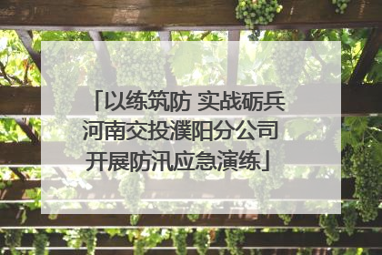 以练筑防 实战砺兵 河南交投濮阳分公司开展防汛应急演练