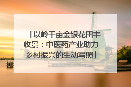 以岭千亩金银花田丰收景：中医药产业助力乡村振兴的生动写照