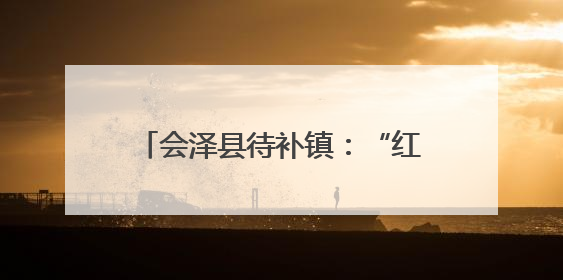 会泽县待补镇：“红马甲”进村入户开展“零距离”暖心服务