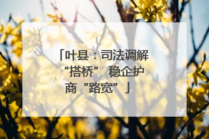 叶县：司法调解“搭桥” 稳企护商“路宽”