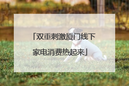 双重刺激厦门线下家电消费热起来