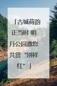 古城荷韵正当时 明月公园邀您共赏“别样红”