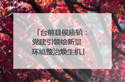 台前县侯庙镇：党建引领绘新景 环境整治焕生机