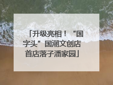 升级亮相！“国字头”国潮文创店首店落子潘家园