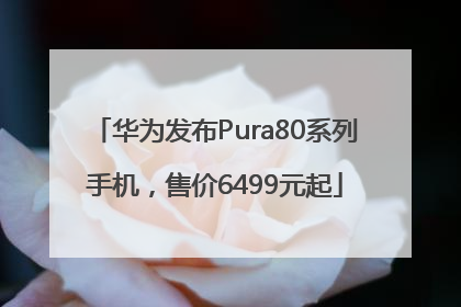 华为发布Pura80系列手机，售价6499元起