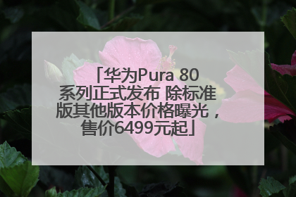 华为Pura 80系列正式发布 除标准版其他版本价格曝光，售价6499元起