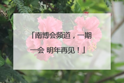 南博会频道，一期一会 明年再见！