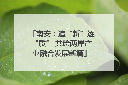 南安：追“新”逐“质” 共绘两岸产业融合发展新篇