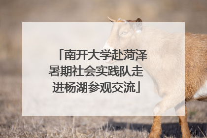 南开大学赴菏泽暑期社会实践队走进杨湖参观交流