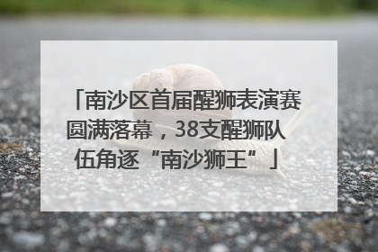南沙区首届醒狮表演赛圆满落幕，38支醒狮队伍角逐“南沙狮王”