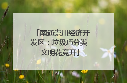 南通崇川经济开发区：垃圾巧分类 文明花竞开
