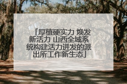 厚植硬实力 焕发新活力 山西全域系统构建活力迸发的派出所工作新生态