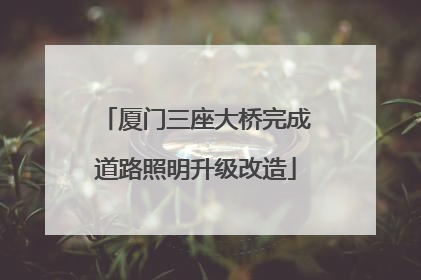 厦门三座大桥完成道路照明升级改造