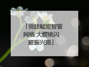 党建赋能智管网格 大樱桃闪耀振兴路