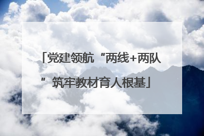 党建领航“两线+两队”筑牢教材育人根基