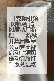 党旗引领风帆劲 清风廉动启新程——新城开集团新宇公司党支部启动“清风廉动党旗红”系列活动