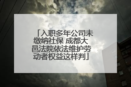 入职多年公司未缴纳社保 成都大邑法院依法维护劳动者权益这样判