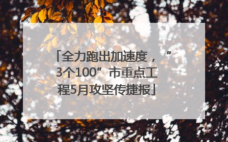 全力跑出加速度，“3个100”市重点工程5月攻坚传捷报