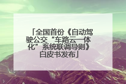 全国首份《自动驾驶公交“车路云一体化”系统联调导则》白皮书发布