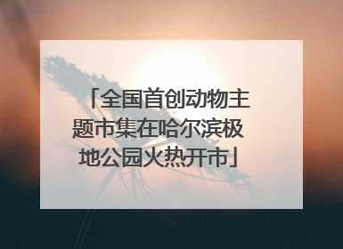 全国首创动物主题市集在哈尔滨极地公园火热开市